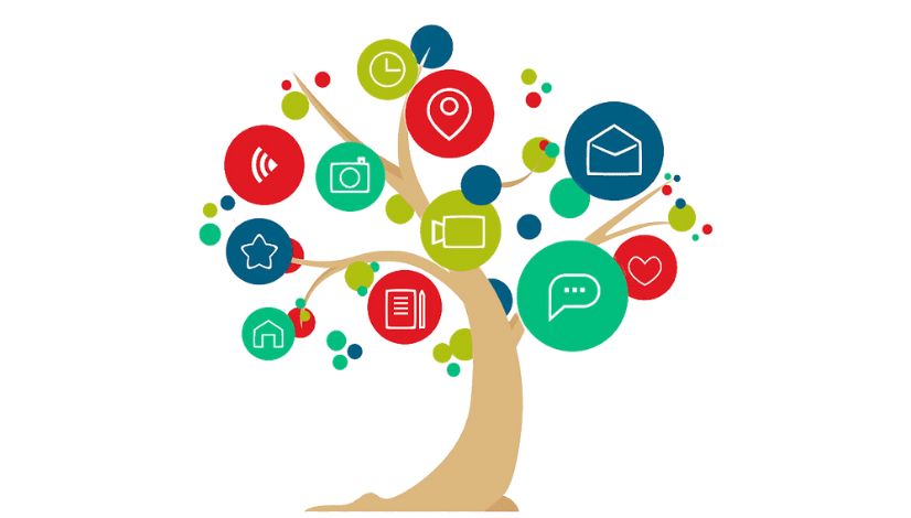Digital marketing strategy development